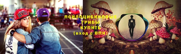 шишки Верхнеуральск