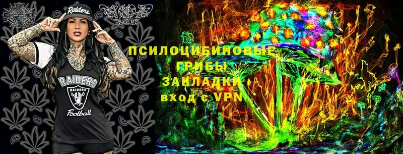 Галлюциногенные грибы Magic Shrooms  Хотьково 